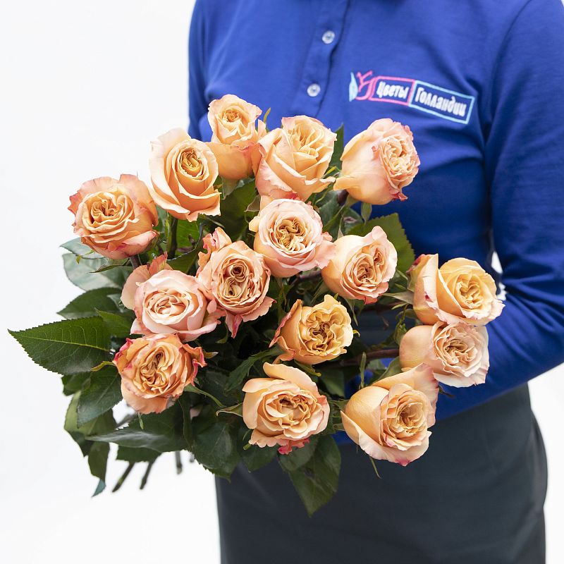 Жемчужина фото