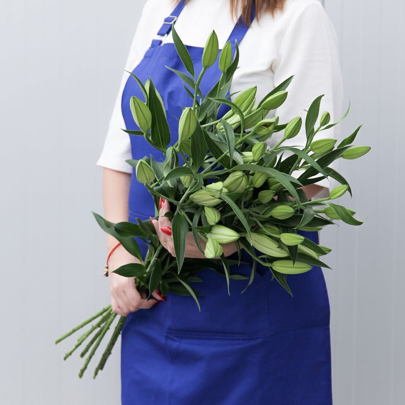 Белая лилия фото