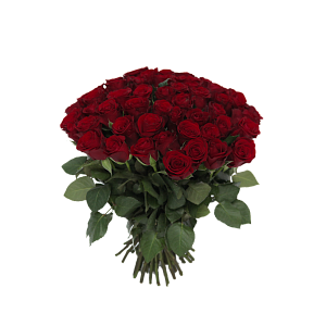 Роза Ред Риббон