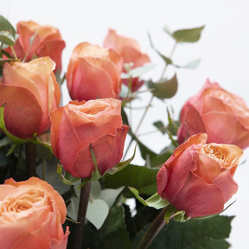 Аккорд фото