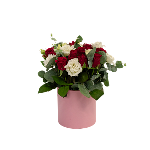 Аристократка