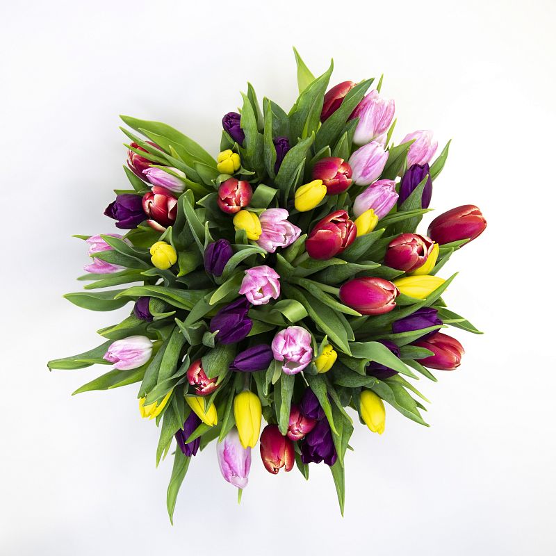 Букет из 51 тюльпана микс фото