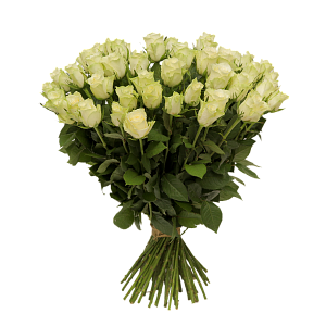Букет белых роз Атена 50 см