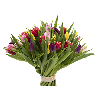 Букет из 51 тюльпана микс