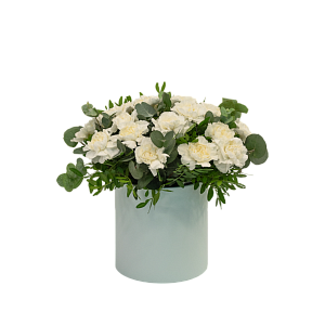 Лунный свет