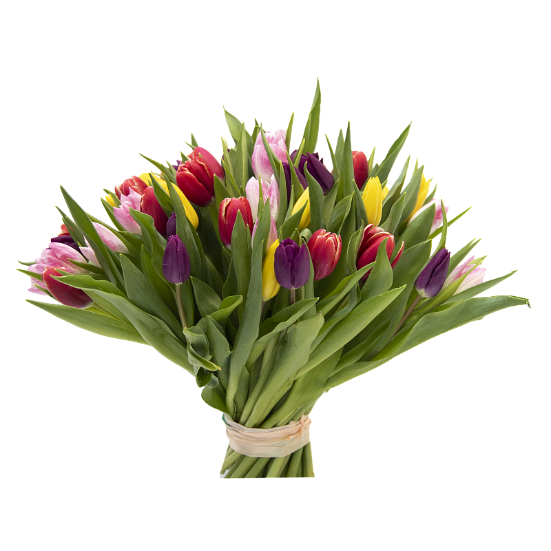 Букет из 51 тюльпана микс фото