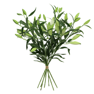 Белая лилия