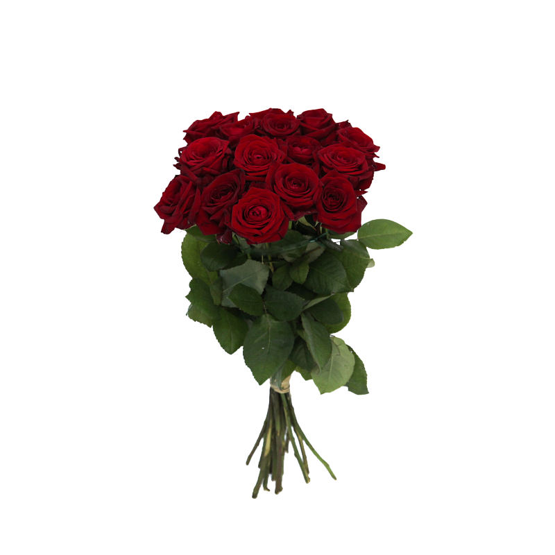 Роза Ред Наоми фото