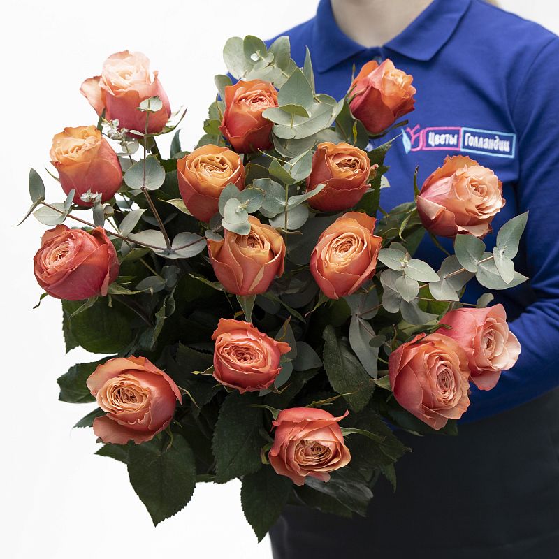 Аккорд фото