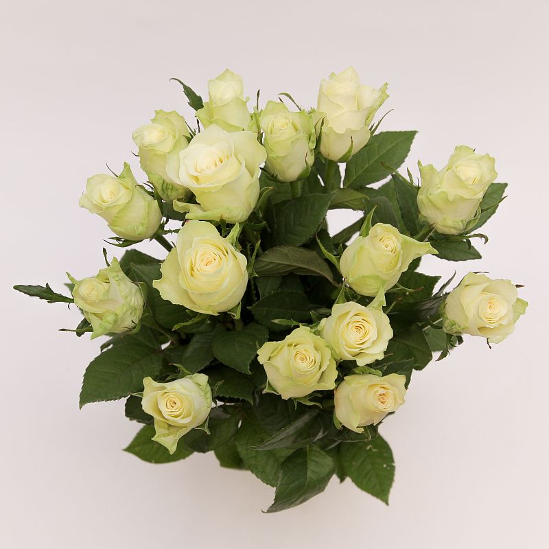 Букет белых роз Атена 50 см фото