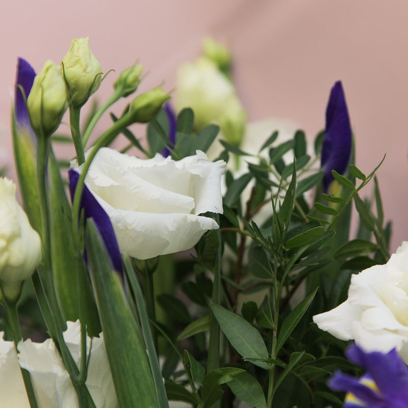 Комплимент фото