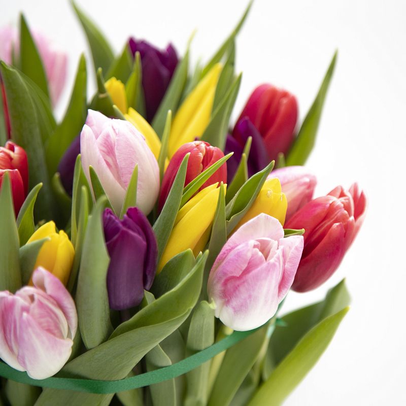 Букет из 25 тюльпанов микс фото