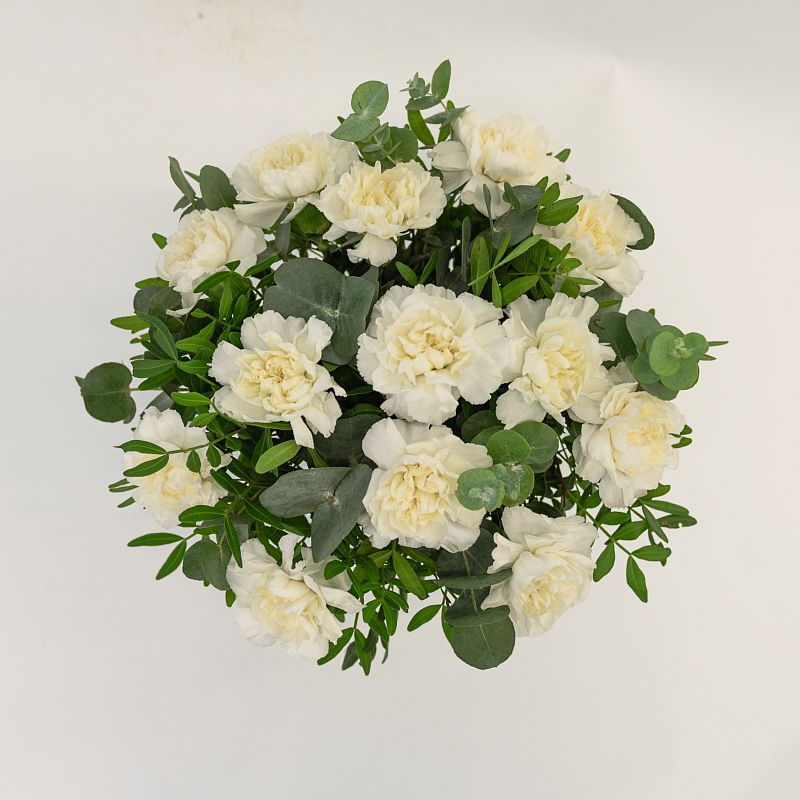 Лунный свет фото