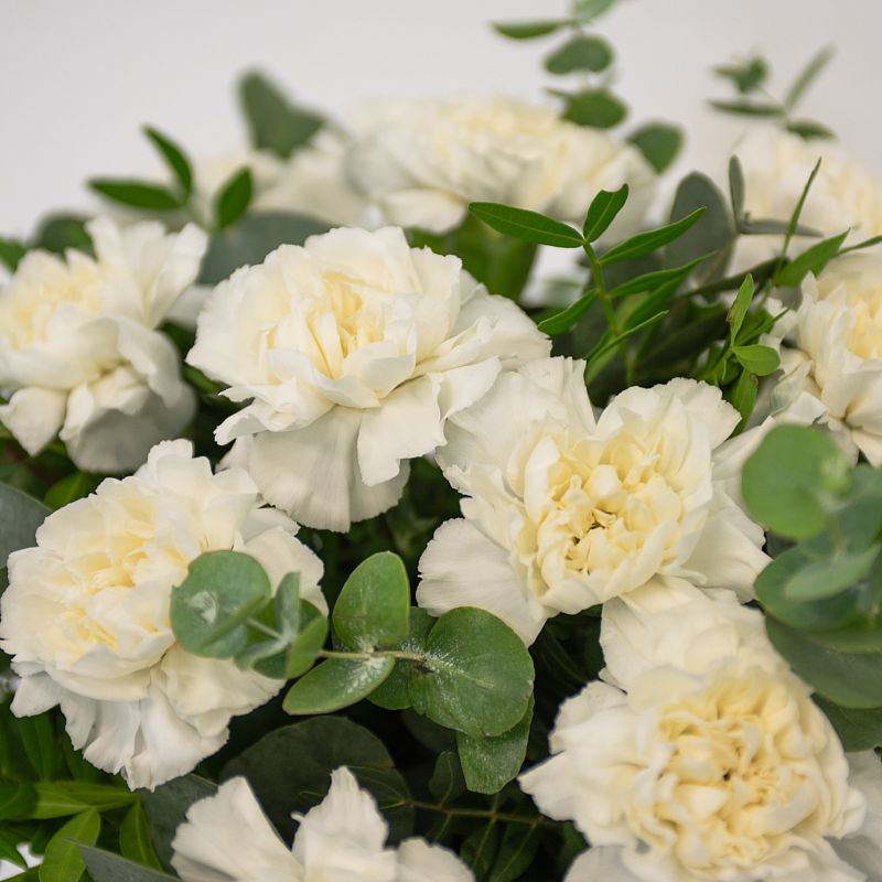 Лунный свет фото