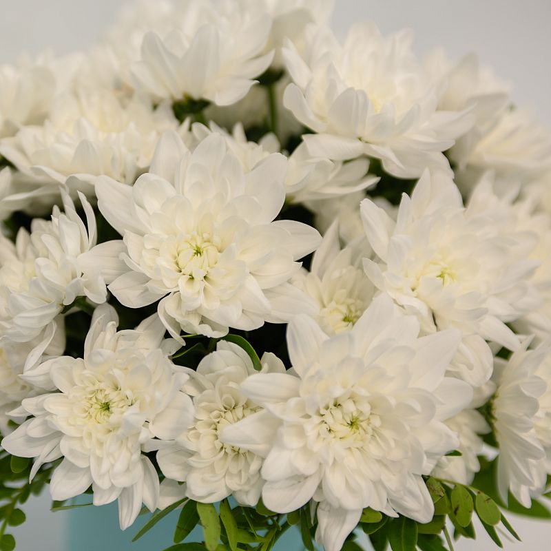 Чистая душа фото