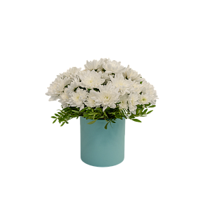 Чистая душа