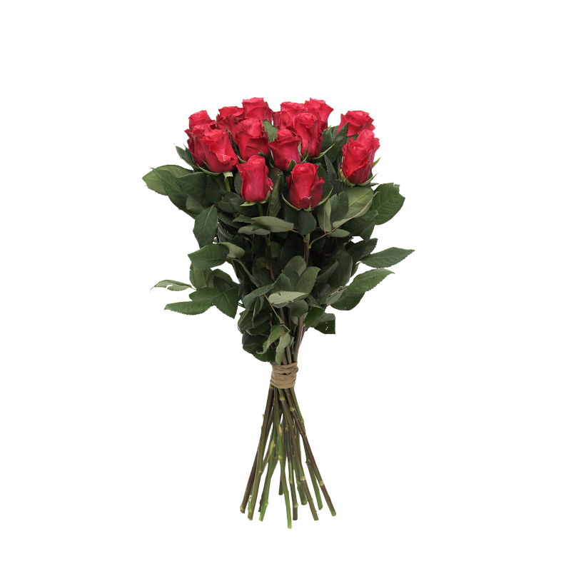 Роза Такаци фото