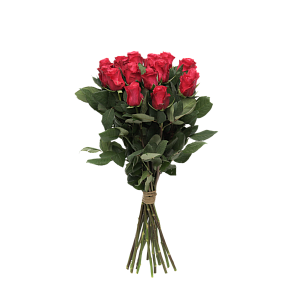 Роза Такаци