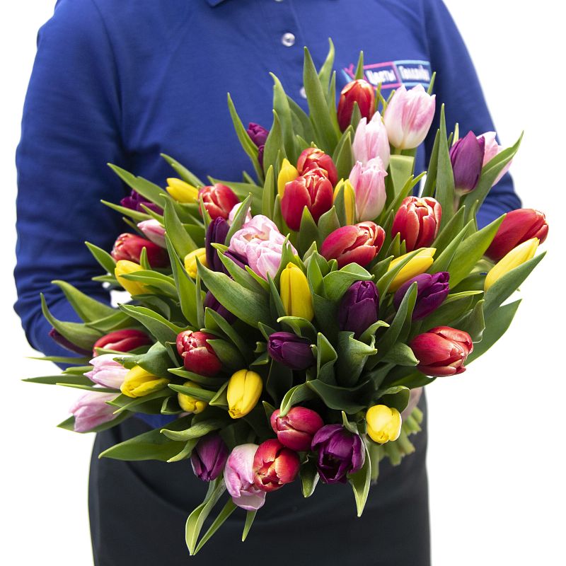 Букет из 51 тюльпана микс фото