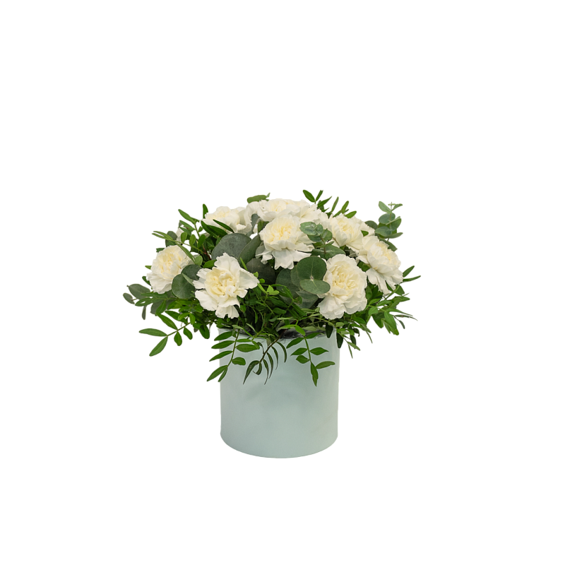 Лунный свет фото