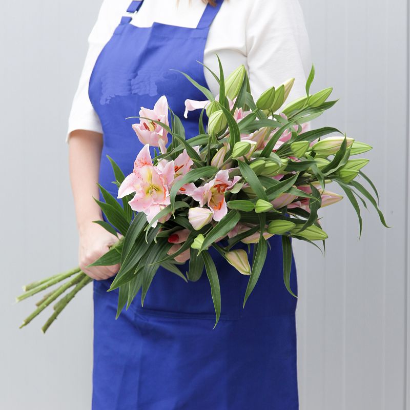 Розовая лилия фото