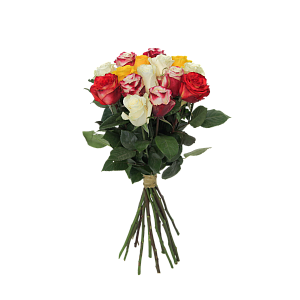 Роза Микс Э