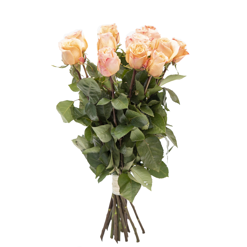 Жемчужина фото