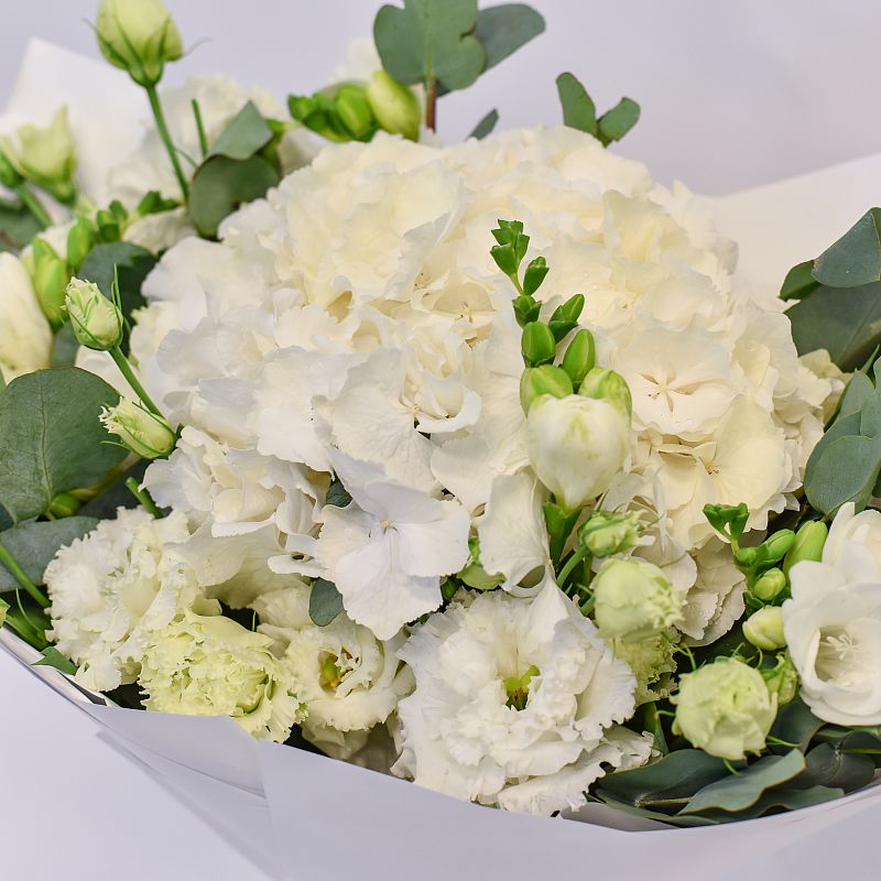 Свежий взгляд фото