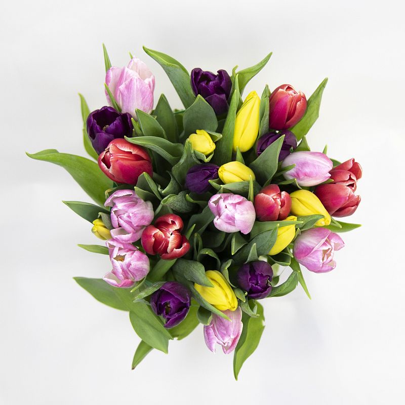 Букет из 25 тюльпанов микс фото