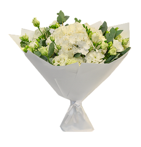 Свежий взгляд