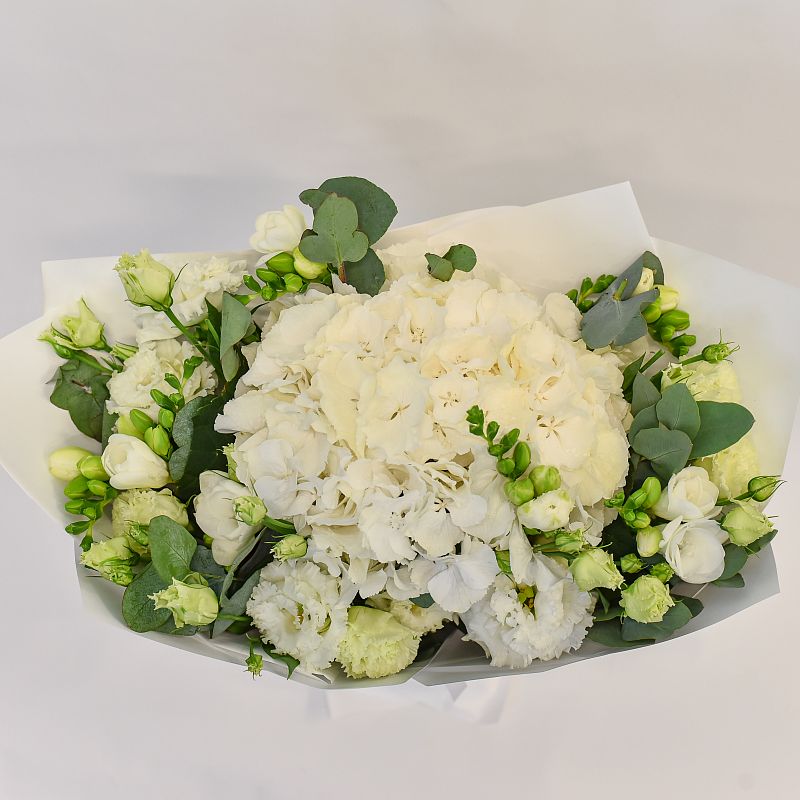 Свежий взгляд фото