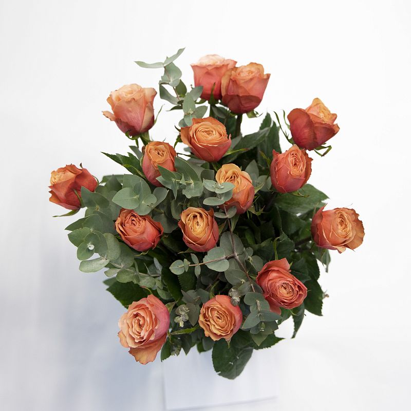 Аккорд фото