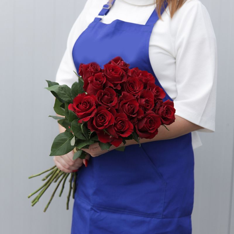 Роза Эксплорер Э фото