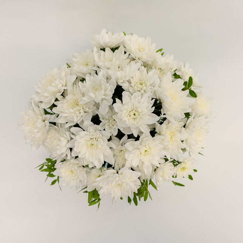 Чистая душа фото