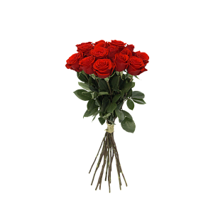 Роза Нина Э