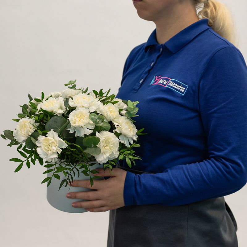 Лунный свет фото