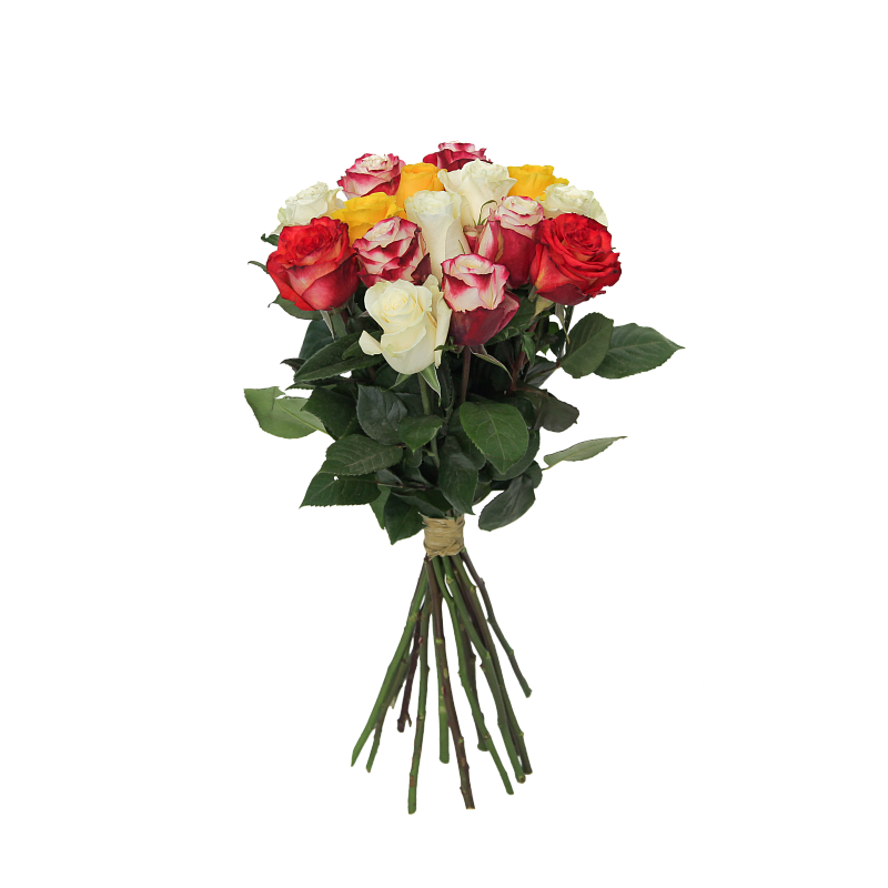 Роза Микс Э фото