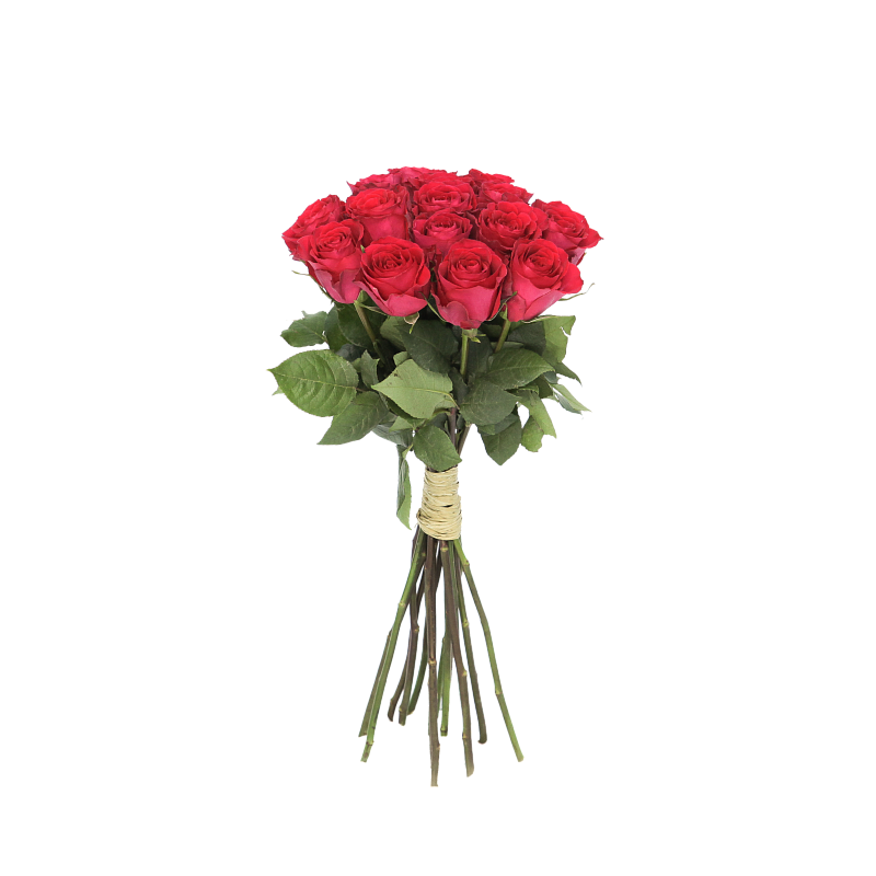 Роза Мадам Черри фото