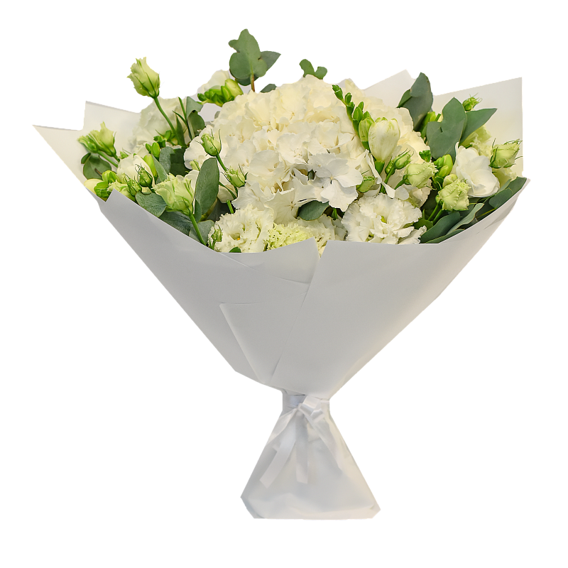 Свежий взгляд фото