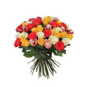 Роза Микс Э