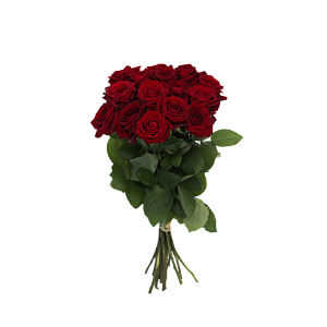 Роза Ред Наоми