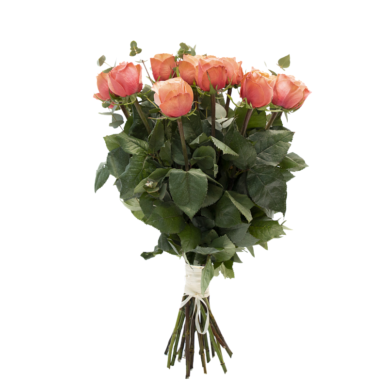 Аккорд фото