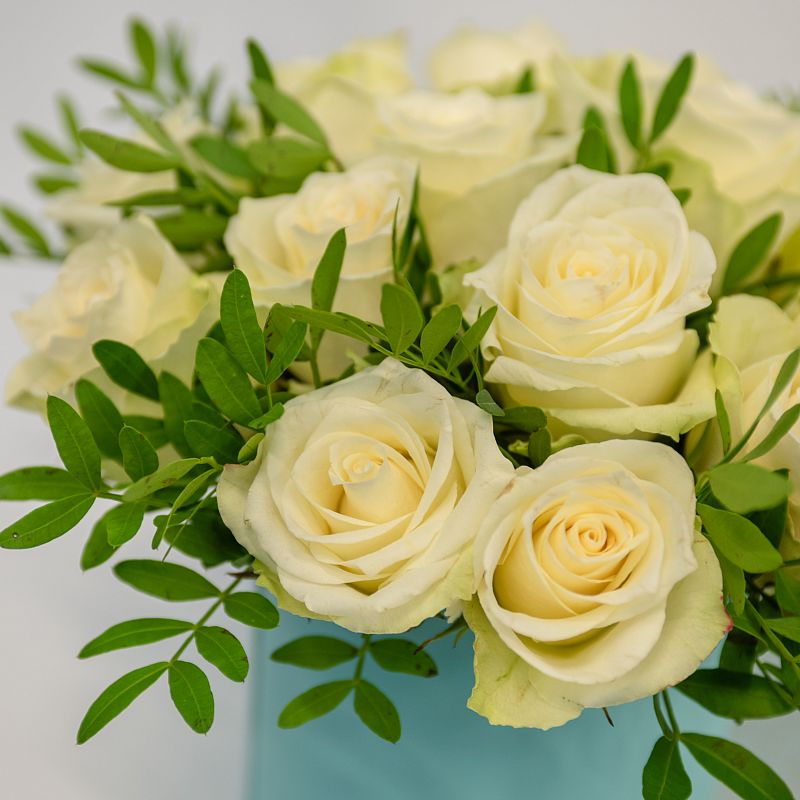 Лёгкое дыхание фото