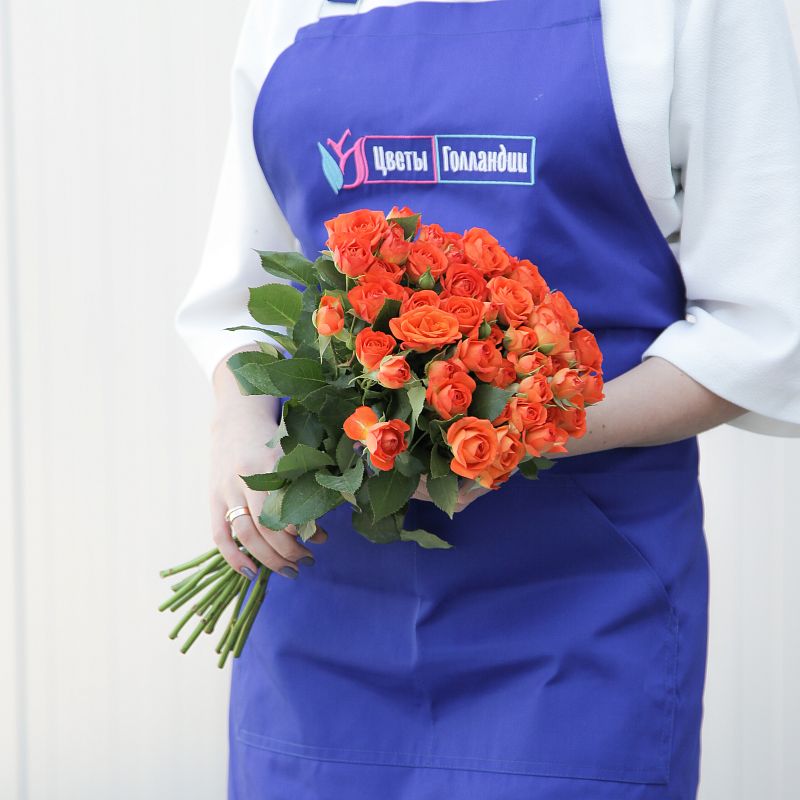 Роза Беби фото