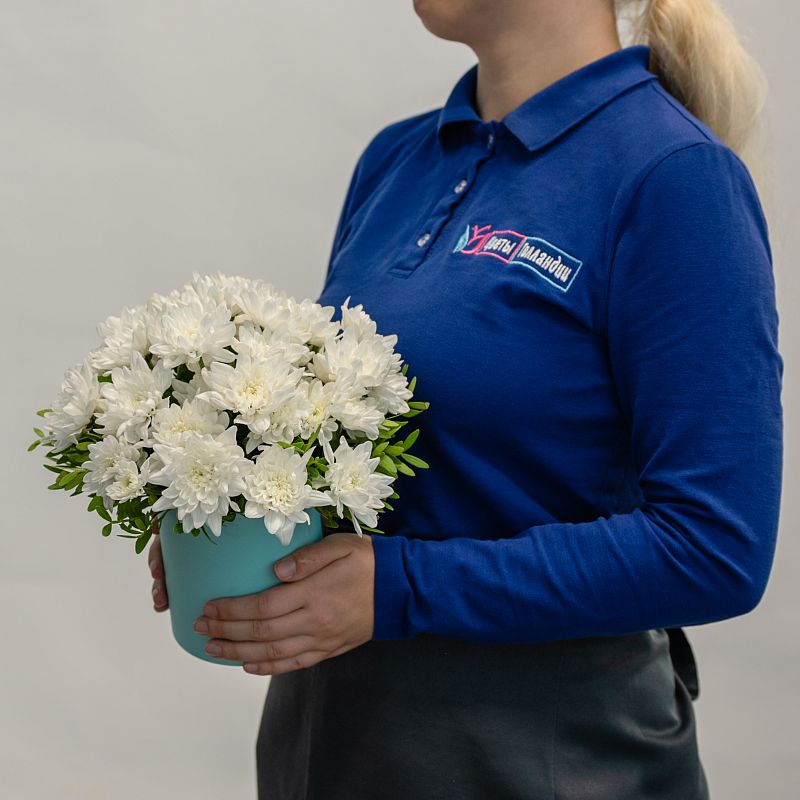 Чистая душа фото