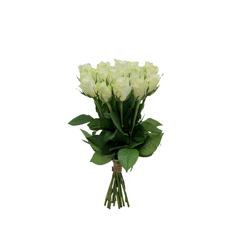 Букет белых роз Атена 35 см фото