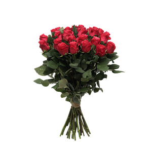 Роза Такаци